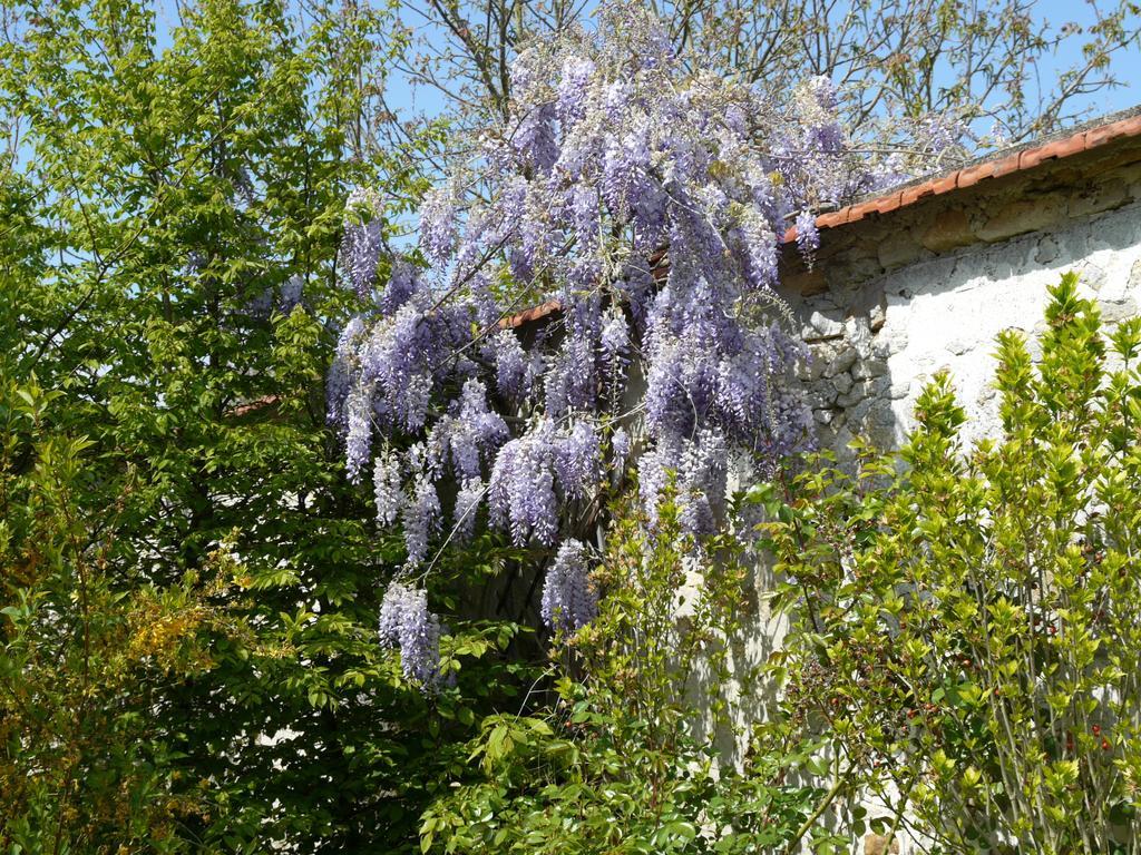 Gites De La Grande Ferme Avernes 部屋 写真